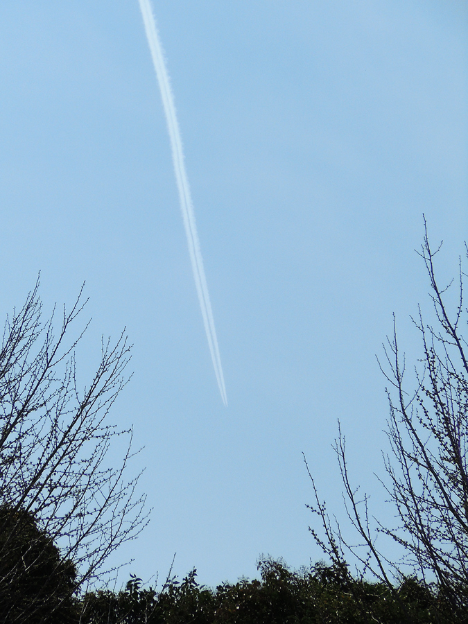 空を横切る（縦ですが）飛行機雲