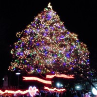 中山競馬場のクリスマスツリー