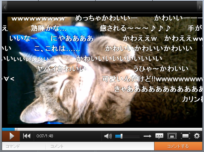 (˘ω˘)ｽﾔｧ……仔猫がコタツでひたすら眠り続けるだけの動画が人気に