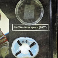 宇宙空間で使用したネムリユスリカの収納ケース