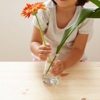 花育用の花瓶