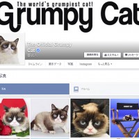 The Official Grumpy Cat Facebookページより。