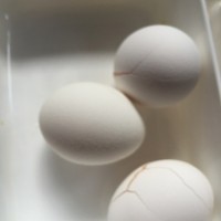 1：密閉容器や袋に入れて卵を冷凍