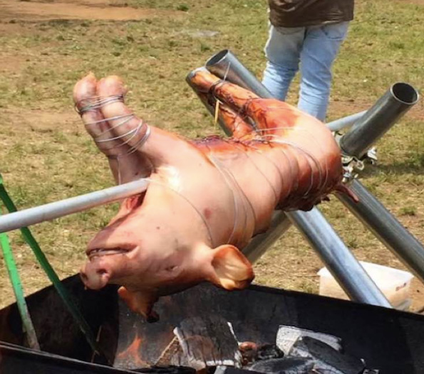 豚の丸焼き、ワニの手足グリル！話題の『珍肉BBQ』名古屋で初開催