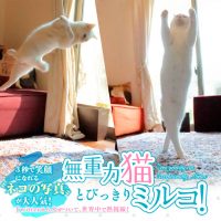 写真集『無重力猫とびっきりミルコ！』