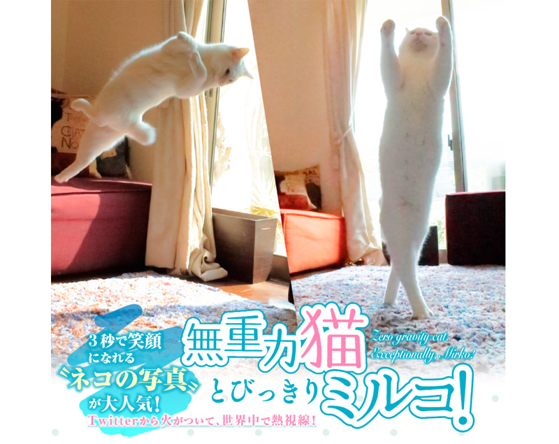 「無重力猫」のミルコ君、入場無料の写真展を神楽坂で開催