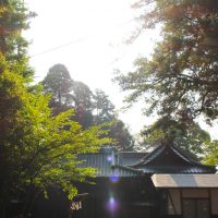 朝日に照らされる玉前神社