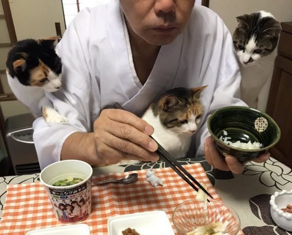 三位一体　猫フォーメーション！！那須の長楽寺にいる猫ちゃんたちの日常