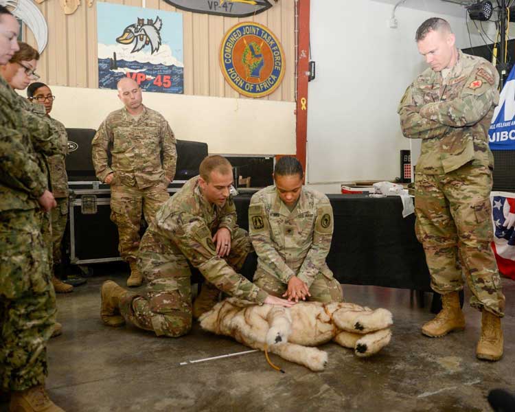 ケガした「わんこ」も助けます！アメリカ軍の軍用犬応急手当て訓練