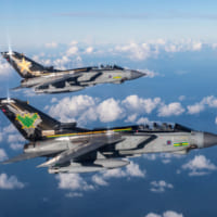 第IX(B)飛行隊と第31飛行隊のスペシャルマーキング機（Image：Crown Copyright 2019）