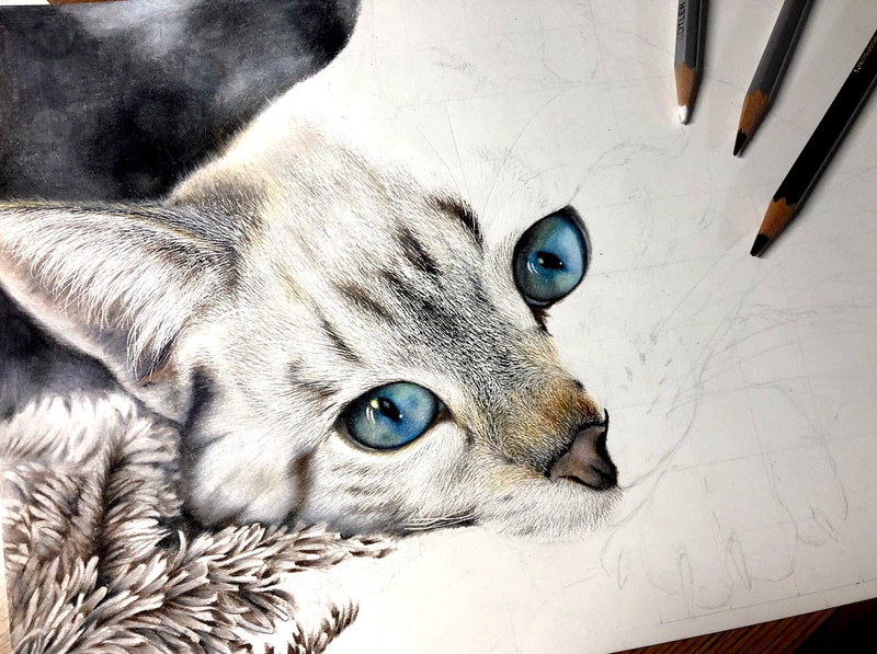 お気に入り 色鉛筆画 猫の絵「卓上の手のり猫(チョビ)」 絵画 