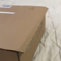 お気入りの箱