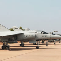 地上に並ぶスペイン空軍ミラージュF1M（Image：Draken International）