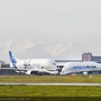 ベルーガSTと並ぶベルーガXL（Image：Airbus）