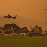 警察と陸軍のヘリコプター（Image：Commonwealth of Australia, Department of Defence）