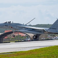第304飛行隊のF-15J（Image：USAF）