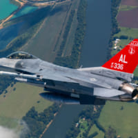 アラバマ州空軍のF-16（Image：USAF）