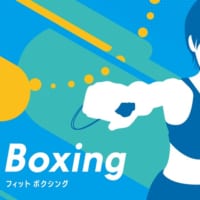 Fit Boxingパッケージ画像
