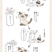 愛猫・あずきちゃん（6歳／メス／シャム）のイラストと