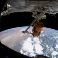 国際宇宙ステーションに取り付けられる「こうのとり」8号機（Image：NASA）