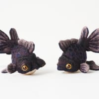 黒金魚たち