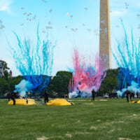 赤と青の昼花火（Image：U.S.Army）