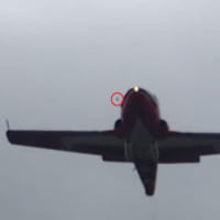 事故直前の映像に映る鳥のような物体（赤丸部）（Image：RCAF）