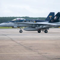 VFA-34のCAGバード（Image：U.S.Navy）