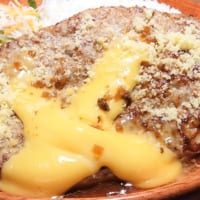 ガリバーバーグディッシュ（チーズ）＋粉チーズ