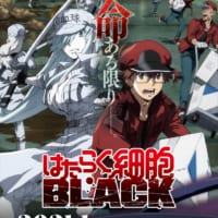 TVアニメ 「はたらく細胞BLACK」第1弾PV解禁　キャストからコメントも到着！