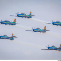 ブラジル空軍のエスカドリラ・ダ・フマサ（Image：ブラジル空軍）