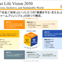 「Kyo-sei Life Vision 2030」の概要
