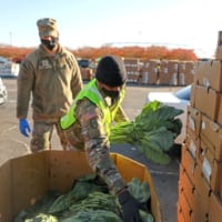 野菜を箱詰めする（Image：U.S.Army）