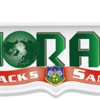 2020年のNORADサンタクロース追跡ロゴ（Image：NORAD）