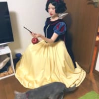 独特のカラーリングの衣装に、りんごと猫がチラリと写った白雪姫。