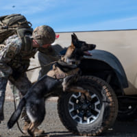 車両の点検をする兵士と歩哨犬（Image：USAF）