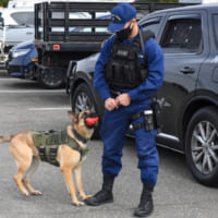 アメリカ沿岸警備隊の警備犬（Image：USCG）