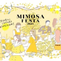 川崎ラ チッタデッラの「MIMOSA FESTA 2021」
