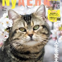 AERAが一冊まるごと猫化する臨時増刊「NyAERA（ニャエラ）」