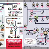 華麗なる一族のやんごとなきパンダ家系図