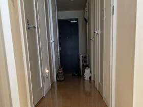 玄関先に写る2つの影（猫）の写した姿がTwitterで話題。