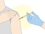 ワクチン接種は肩です（イラストACより）