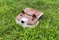 今日もたくさん芝を刈るワン　柴犬の芝刈りロボットが健気でかわいい