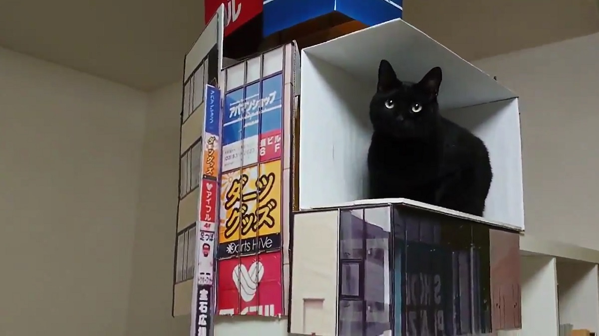 新宿の巨大猫を自宅で再現！ジオラマの完成度の高さに30万いいね