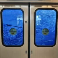 買い物の帰りに電車に乗った江ノ島さんぽちゃんの眼前に写っていた大海原。