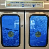 藤沢市応援キャラ「江ノ島さんぽちゃん」の発見に10万いいね。