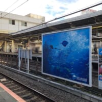 実は車両の向こうには新江ノ島水族館の広告看板が掲示。偶然の写りこみでした。