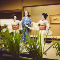 新橋花柳界に巡る四季を踊りで表現