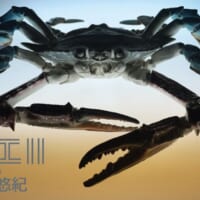 今月24日までギャラリー・マルヒにて個展「 蟹工 II〜陶製自在置物〜 」を開催中の岡村さん。