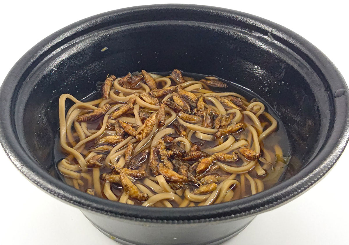 昆虫食のカップ麺「コオロギうどん」を追いコオロギして食べてみた